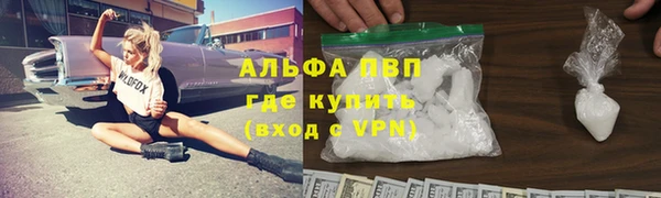 сатива Абаза