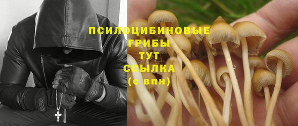 трава Абинск