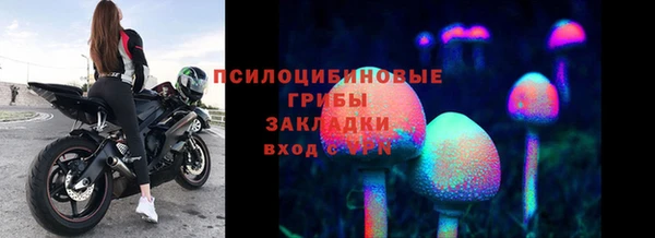 трава Абинск
