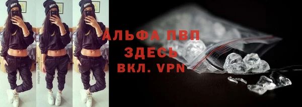 сатива Абаза