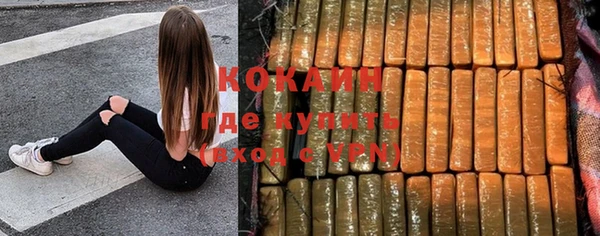 сатива Абаза