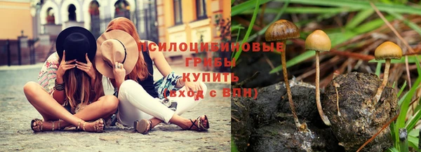 сатива Абаза