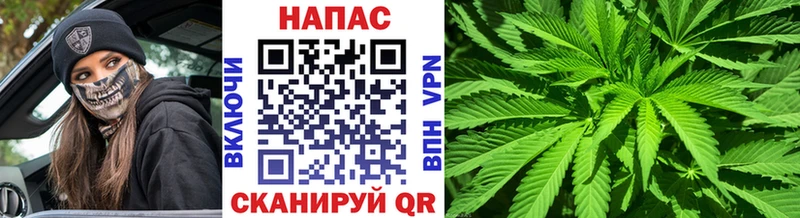Марихуана Amnesia  ссылка на мегу   Дмитровск 
